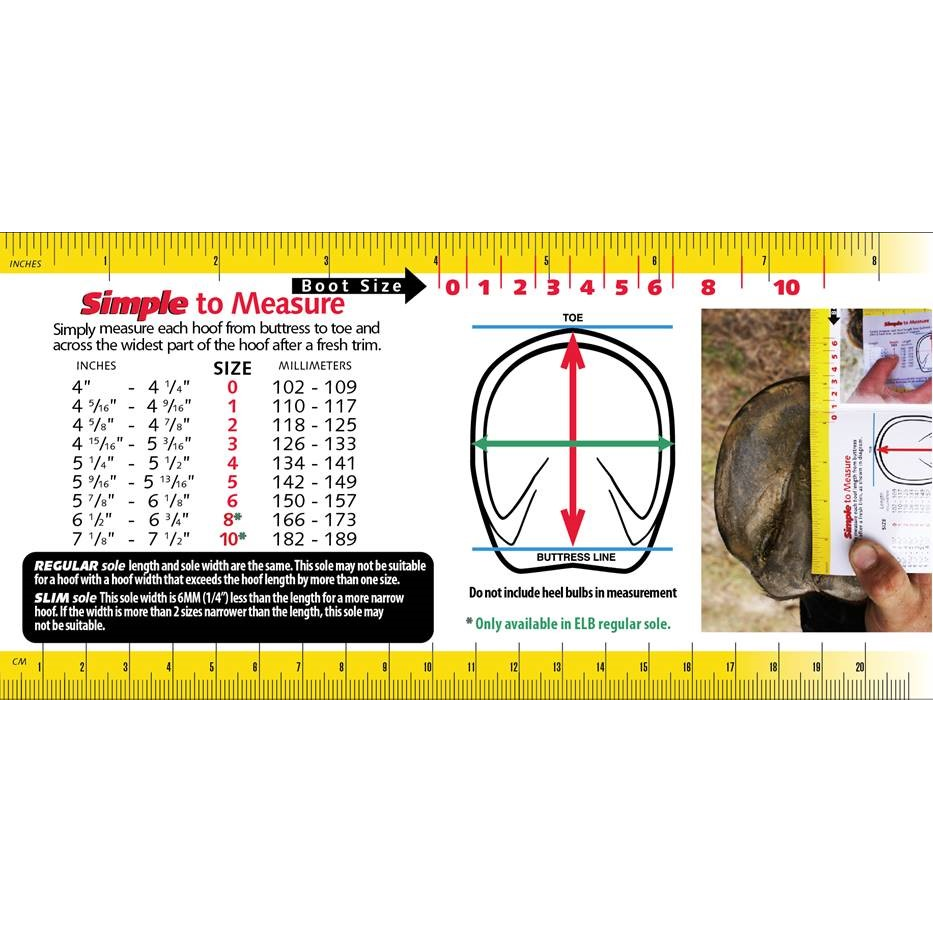 Cavallo Sport Boot Regulær med Foc Hoof Pick & Brush