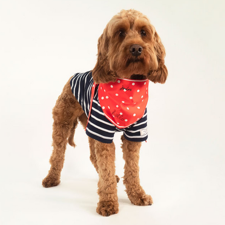 Ensemble haut et foulard Joules Harbour