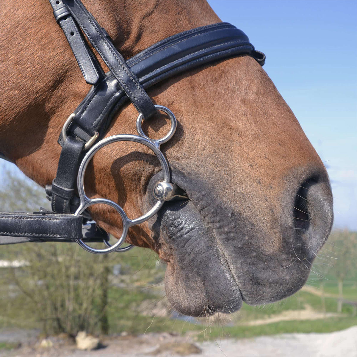 SPrenger KK Ultra Universal 16mm