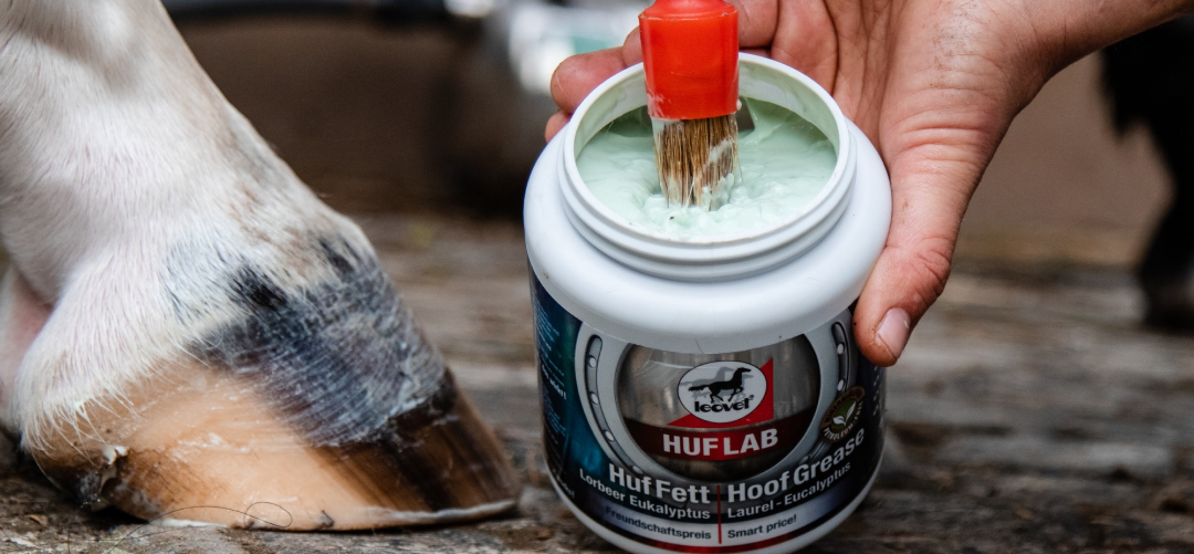 Summer Hoof Care