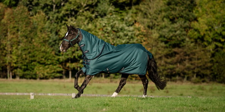 Horseware Ireland