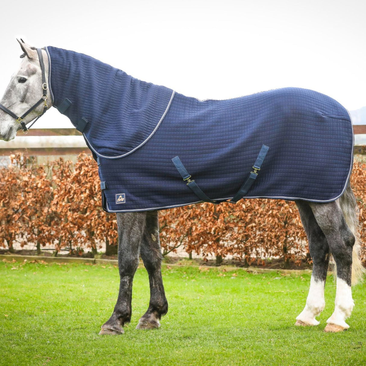Mackey Aran Thermo Rug #colour_navy