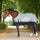 HV Polo Essential 0g Turnout Rug #colour_greenery