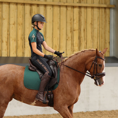 Shires Aubrion Ladies Team Riding Tights #colour_black