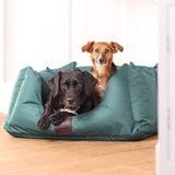 Shires Digby & Fox Nest Dog Bed #colour_green
