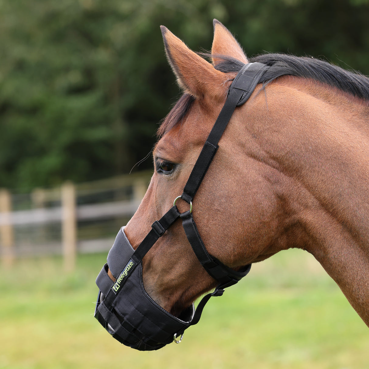 Shires FreeGraze AirFlow Grazing Muzzle #colour_black