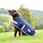 Weatherbeeta Comfitec Essential Dog Coat #colour_navy-silver-red