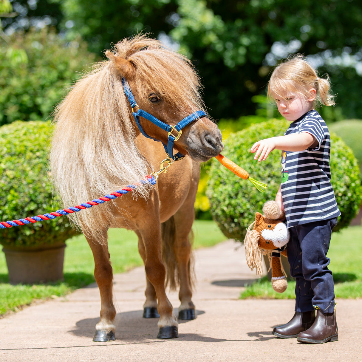 Shires Winne & Me Jodhpurs #colour_navy