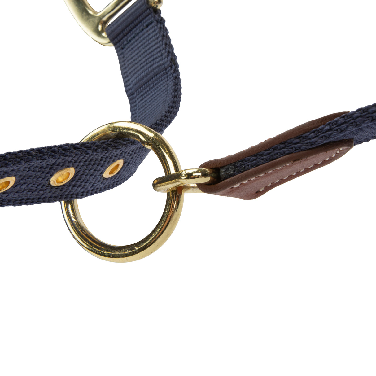 Shires ARMA Porto Headcollar #colour_navy