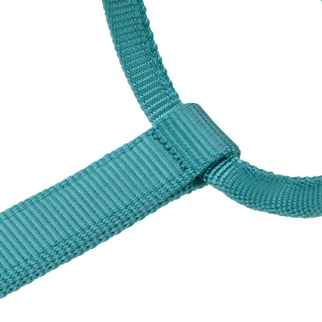 Shires ARMA Premium Adjustable Headcollar #colour_teal