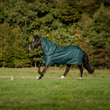 Horseware Ireland Amigo Ripstop 900D Plus 50g Pony Turnout Rug #colour_dynasty-green-navy-silver