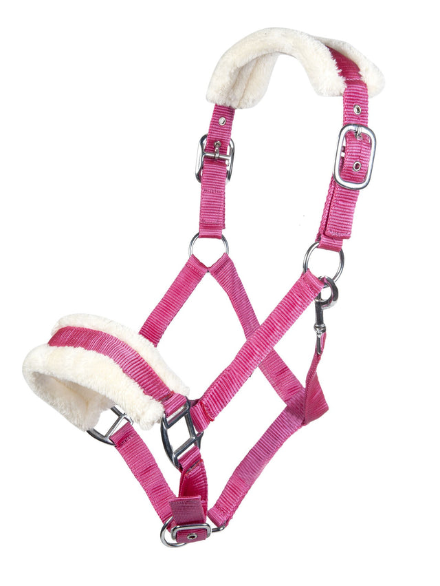 HKM Head Collar -Bischofshofen- with Plush Padding #colour_magenta