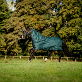 Horseware Ireland Amigo Ripstop 900D Plus 50g Pony Turnout Rug #colour_dynasty-green-navy-silver