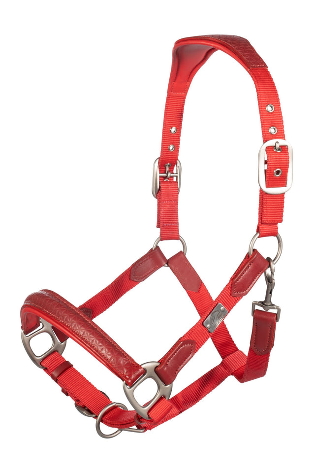 HKM Head Collar -Aruba- #colour_red