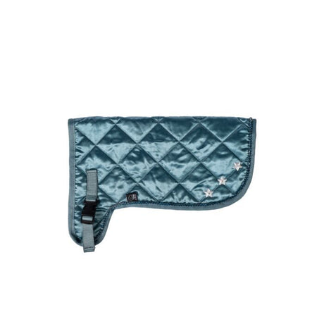 HKM Rug -Hobby Horsing Premium- #colour_turquoise