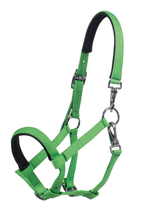HKM Foal Head Collar -Millie- #colour_lime-green