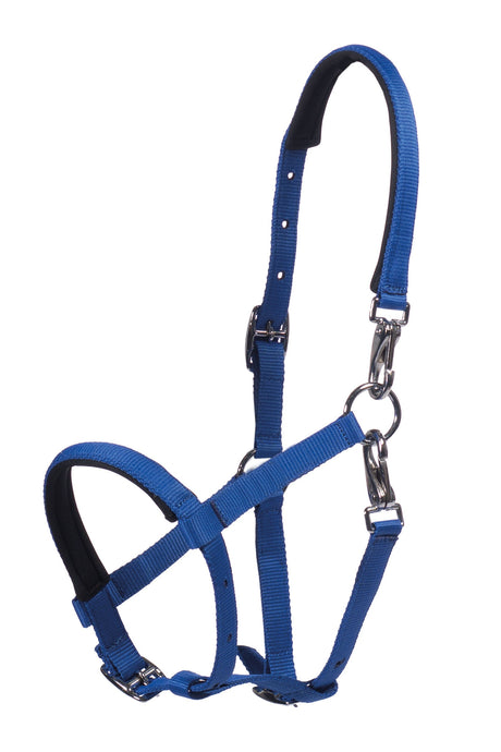 HKM Foal Head Collar -Millie- #colour_cobalt-blue