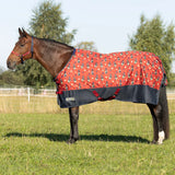 StormX Original 100g Turnout Rug - Thelwell Collection Balancing Act