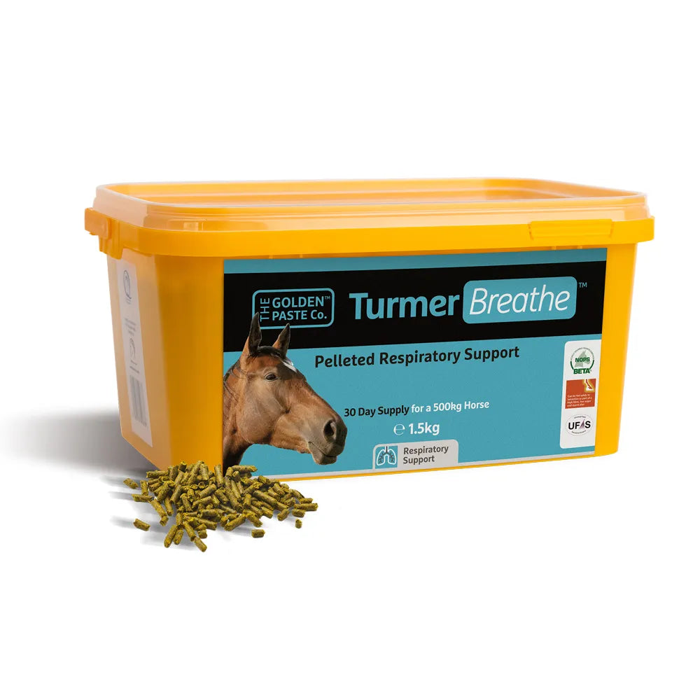 TurmerBreathe