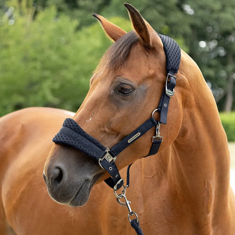 Coldstream Middleton Air Flow Head Collar & Lead Rope #colour_black