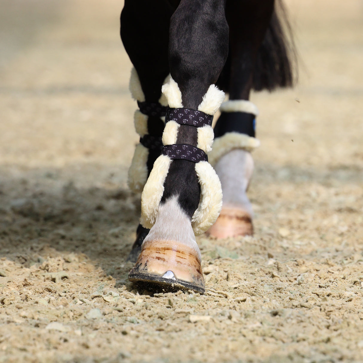 Shires ARMA Carbon SupaFleece Tendon Boots #colour_black