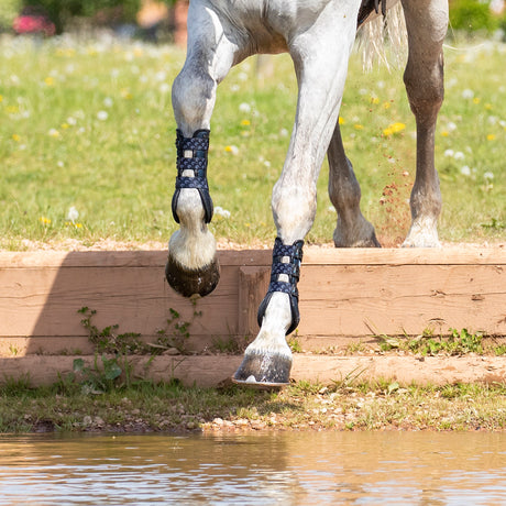 Shires ARMA Carbon Training Boots #colour_black