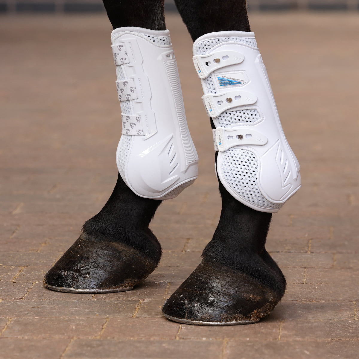 Shires Arma Carbon Training Boots