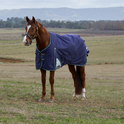 Weatherbeeta Comfitec Plus Dynamic 0G Turnout #colour_navy-forest-navy