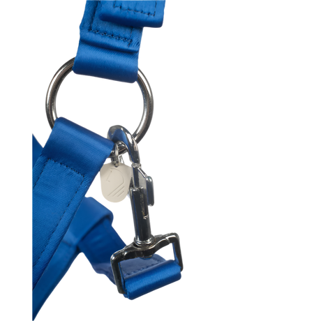 HKM Head Collar -Amalfi- #colour_blue