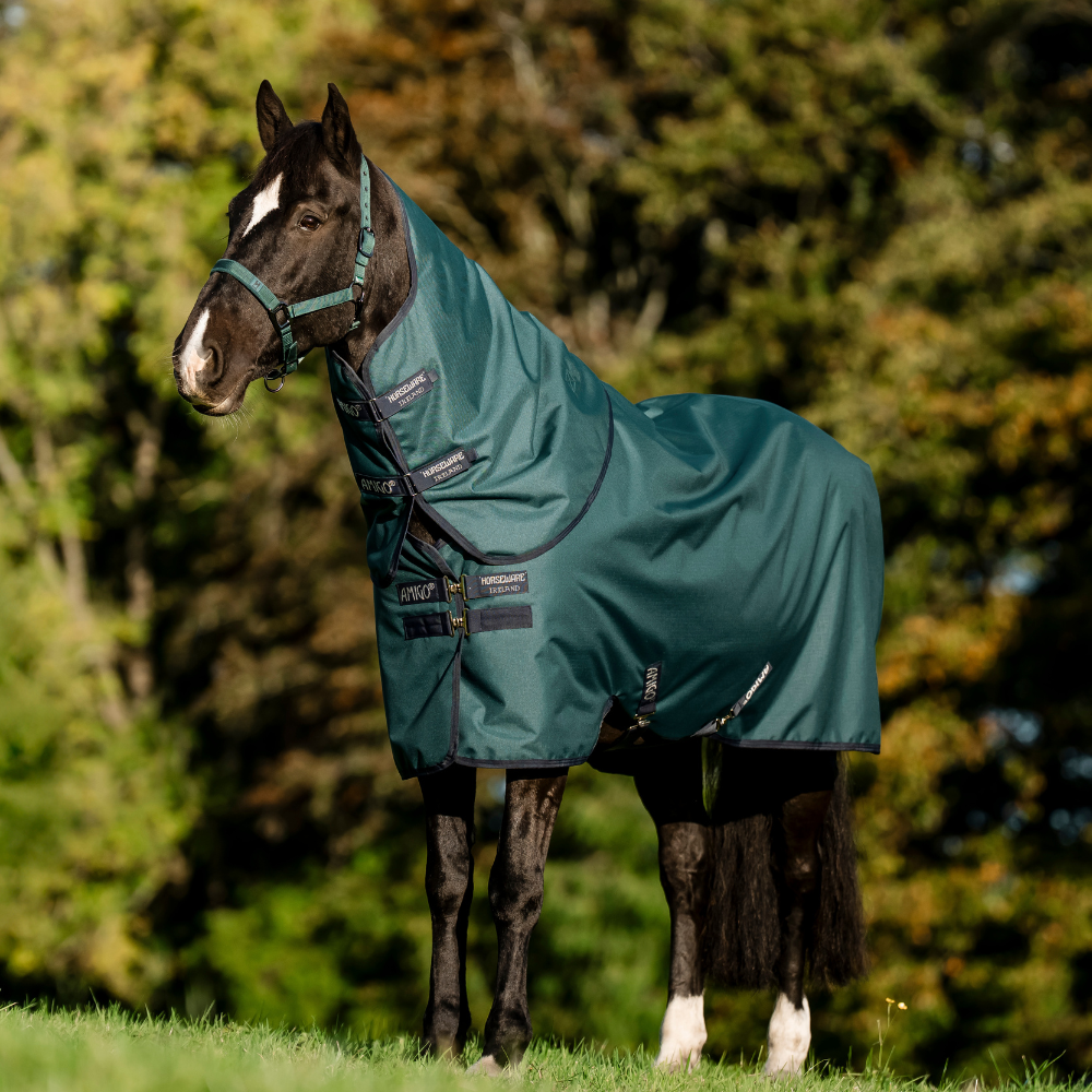 Horseware Ireland Amigo Ripstop 900D Plus 200g Pony Turnout Rug #colour_dynasty-green-navy-silver