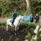 Horseware Ireland Amigo Ripstop 900 Plus 0g #colour_dynasty-green-navy-silver