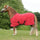 #colour_rosette-red