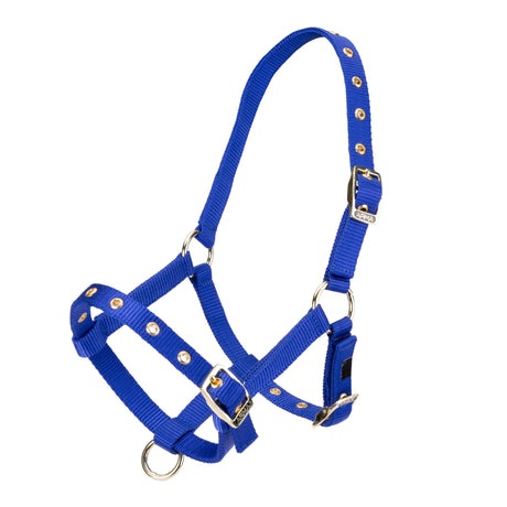 Shires ARMA Foal Headcollar