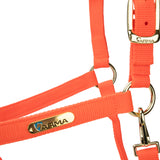 Shires Topaz Nylon Headcollar