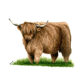 Kevin Milner Countryside Cards #style_highland-bull