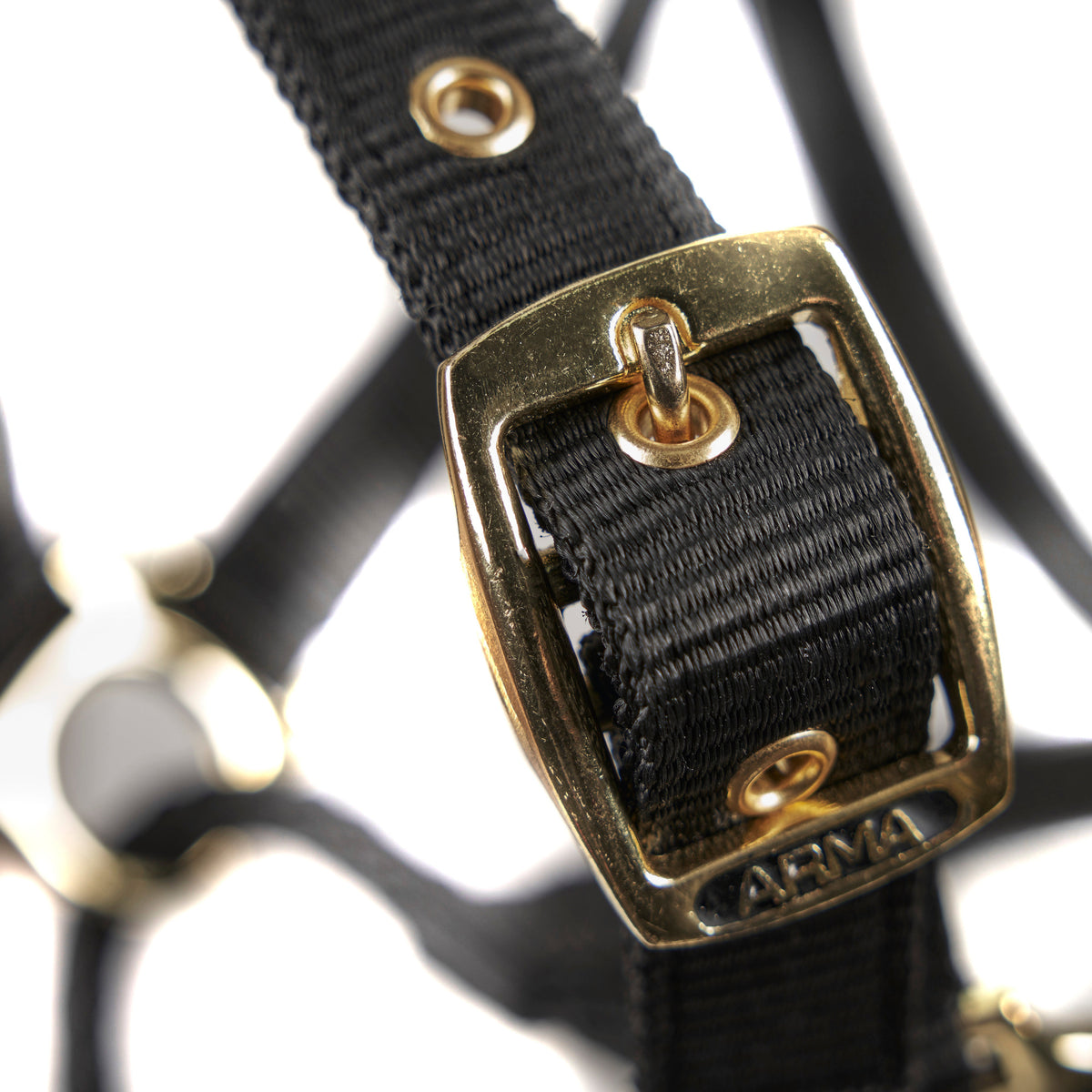 Shires Control Headcollar
