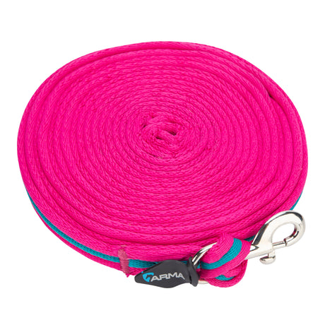 Shires Cushion Web Lunge Line