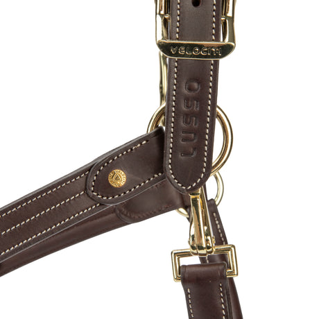 Shires Velociti Lusso Girona Leather Headcollar #colour_havana