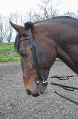 Shires Longieradapter