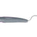 Hy Sport Active Hoof Pick #colour_royal-violet