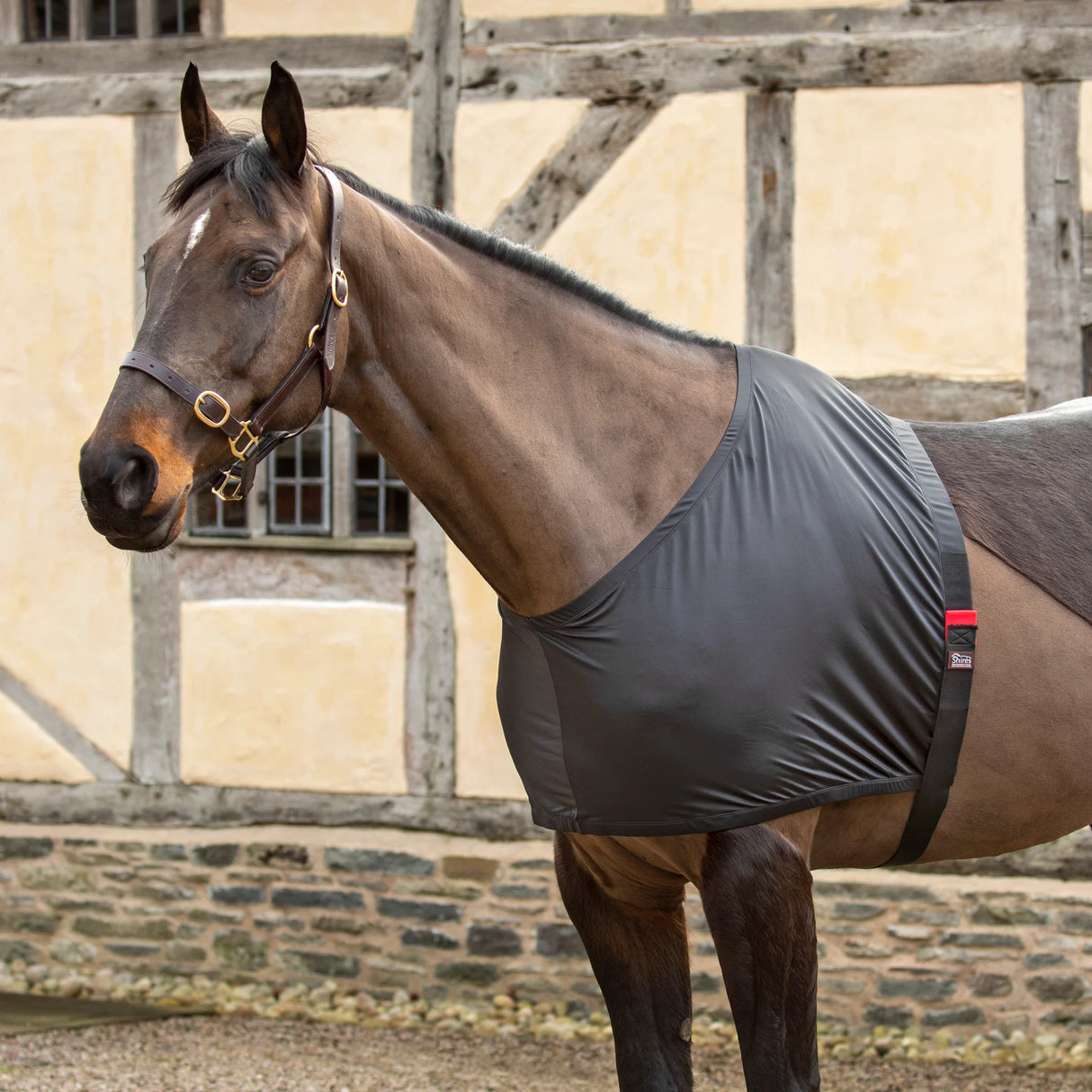 Shires Anti-Rub Stretchvest
