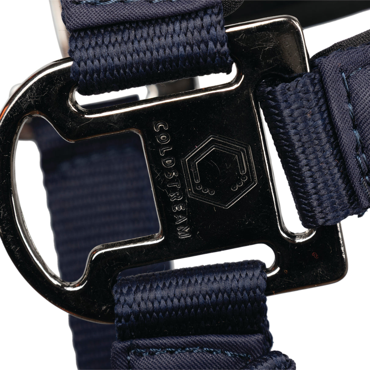 Coldstream Paxton Padded Head Collar & Lead Rope