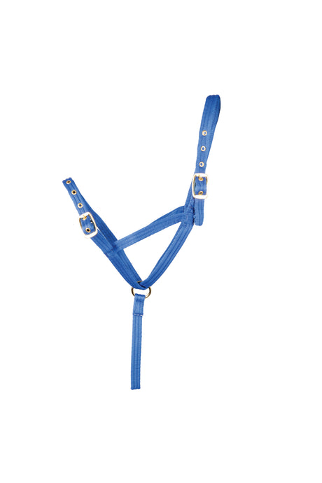 Hy Equestrian Foal Slip Halter #colour_blue