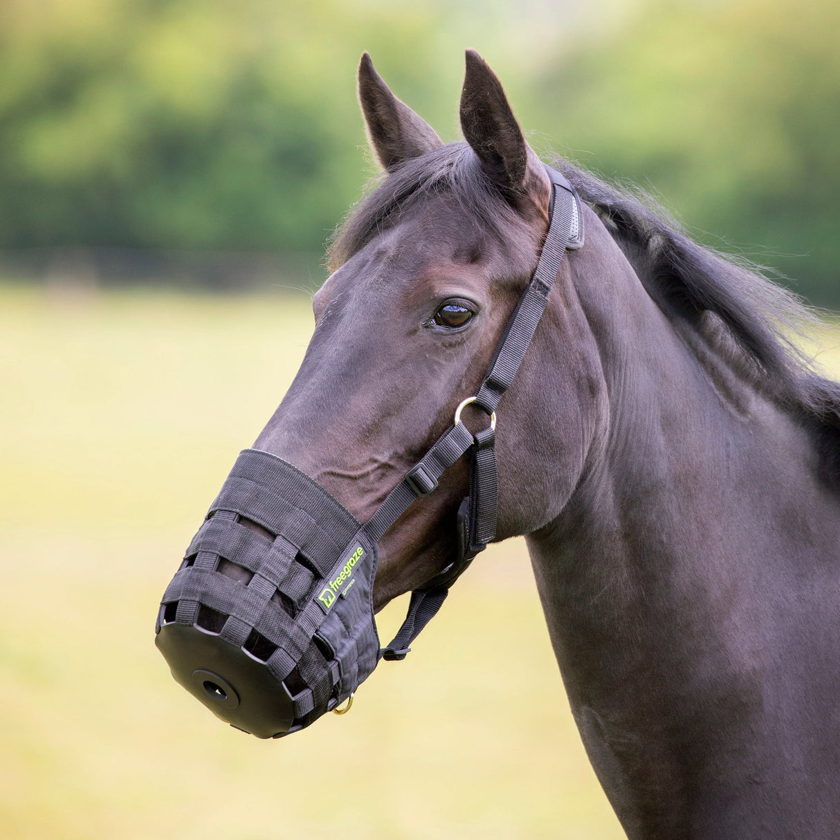 Shires Comfort Græsende snude