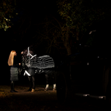 Horseware Ireland Amigo 1200D FieldSafe Reflectech Plus 100g Turnout Rug #colour_black-reflective-black