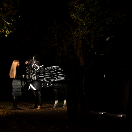 Horseware Ireland Amigo 1200D FieldSafe Reflectech Plus 0g Turnout Rug #colour_black-reflective-black
