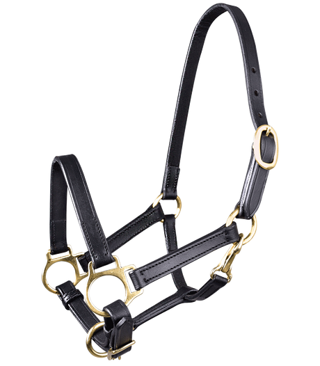 STAR Leather Halter #colour_black