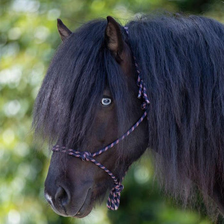 Waldhausen Knotted Halter #colour_blue-white-red