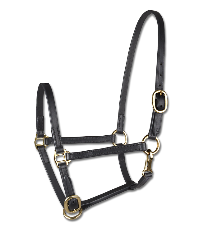 STAR Leather Foal Halter #colour_black