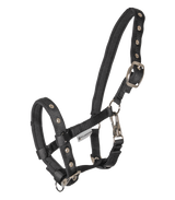 Waldhausen Halter Comfort for Foals #colour_black